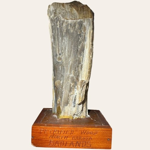 PETRIFIED WOOD NORTH DAKOTA BADLANDS ON VINTAGE HANDMADE STAND - Picture 1 of 12